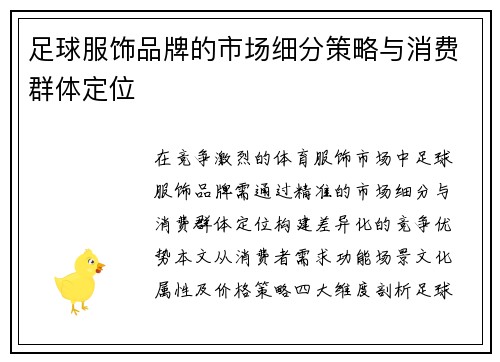 足球服饰品牌的市场细分策略与消费群体定位